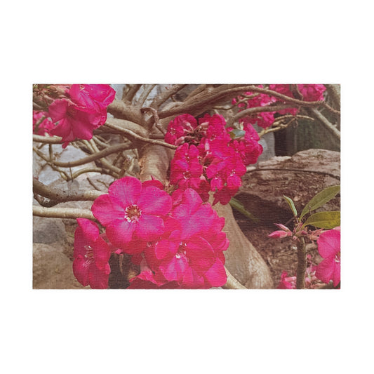 Close-up of pink desert rose flowers on a branch with a blurred background. Brilliantmischief.shop